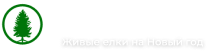 Магазин Елки Тверь Лукина Официальный Сайт